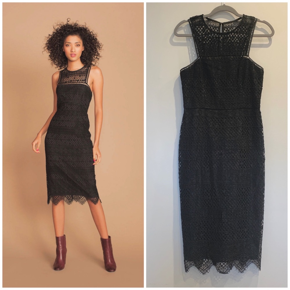 NWT. Trina Turk timeless classic lace LBD.